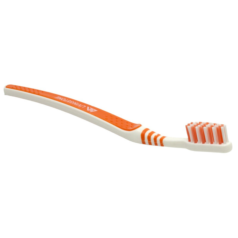 The Seasonal Toothbrush Adult Soft – Orange (Autumn) P12