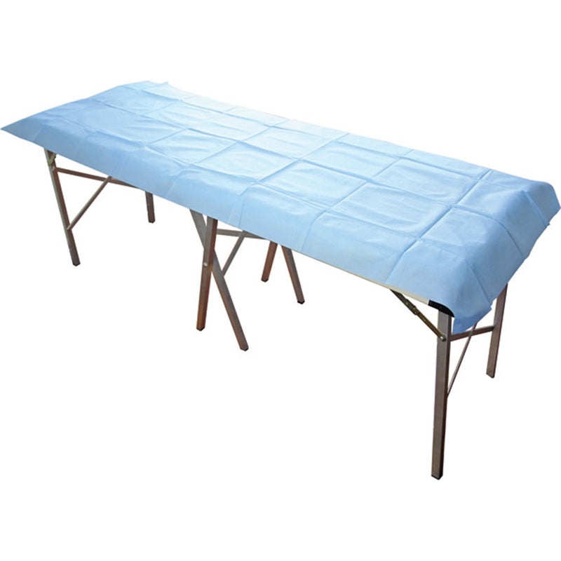 The Stretcher/Modesty Light Sheet Disposable 200 x 70cm 40gsm Light Blue P10