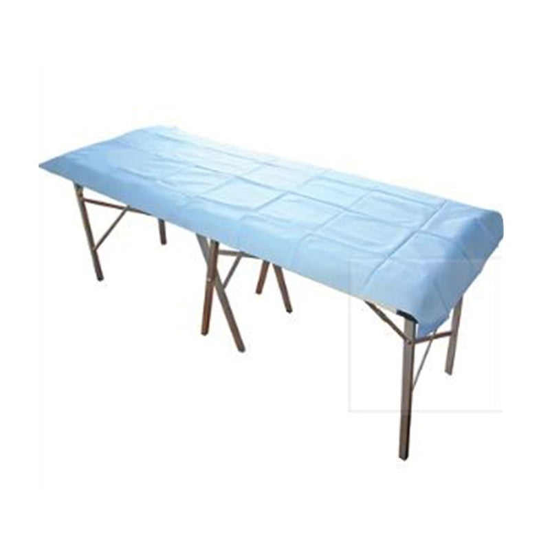 The Flat Sheet Small Disposable 100 x 70cm 40gsm Light Blue B200