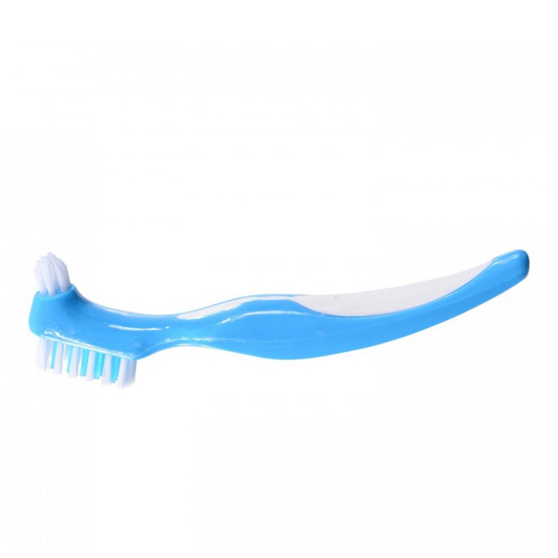 The Denture Brush Blue
