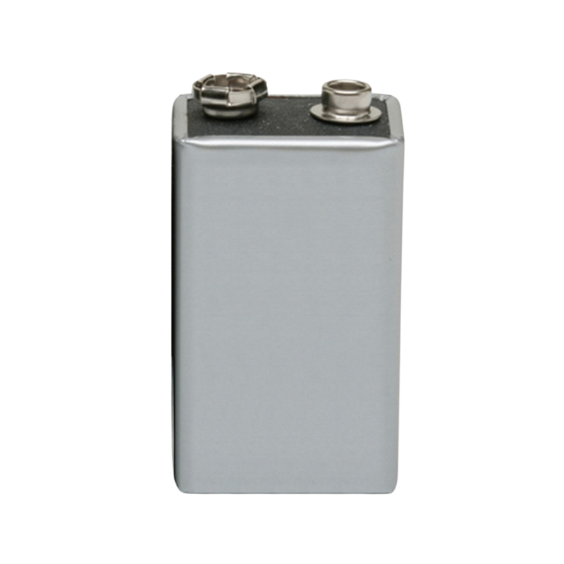 The 9V Battery Model 6LR61 for BodyGuard T (Box of 10)