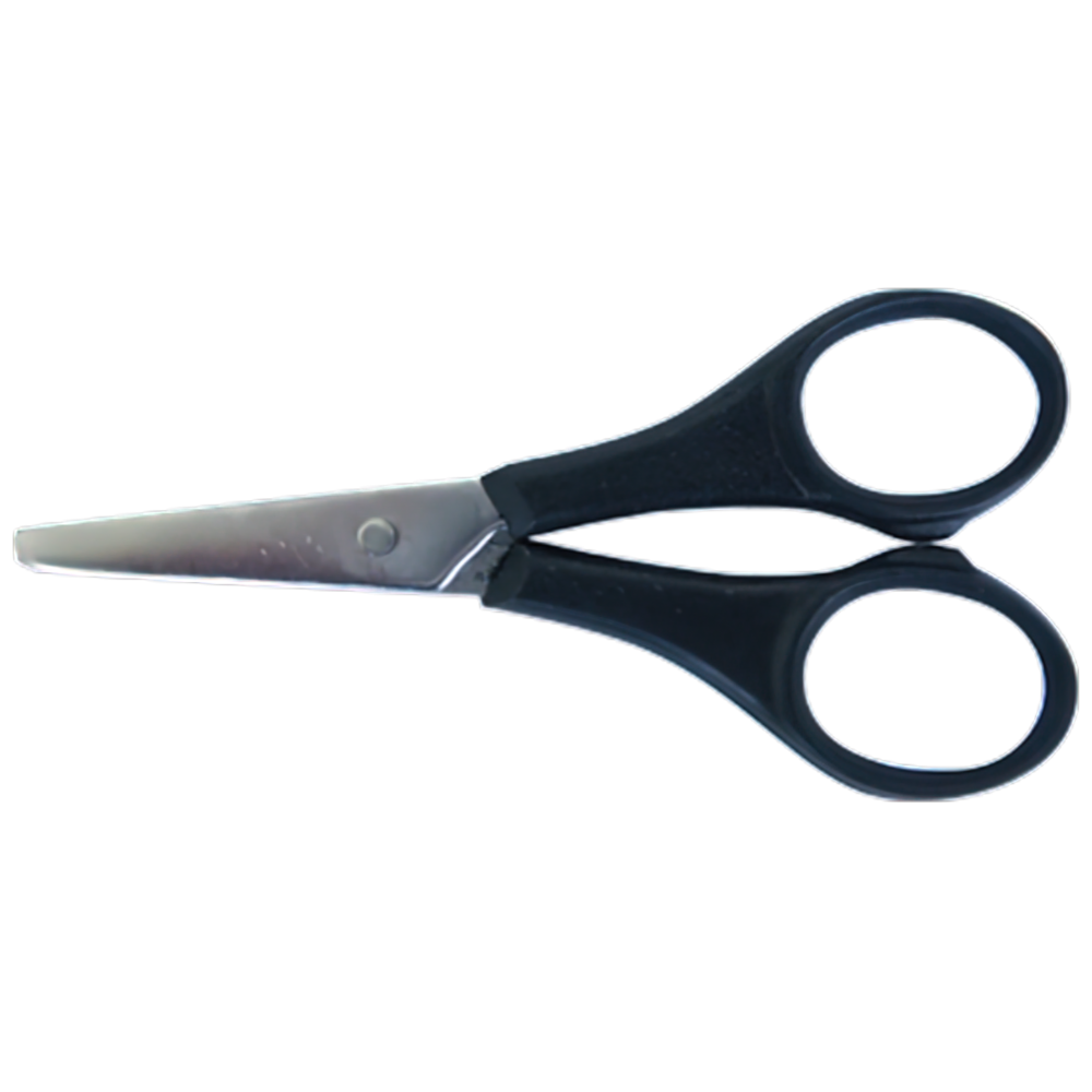 AEROINSTRUMENTS Stainless Steel Scissors with Plastic Handle 9cm (Box of 12)