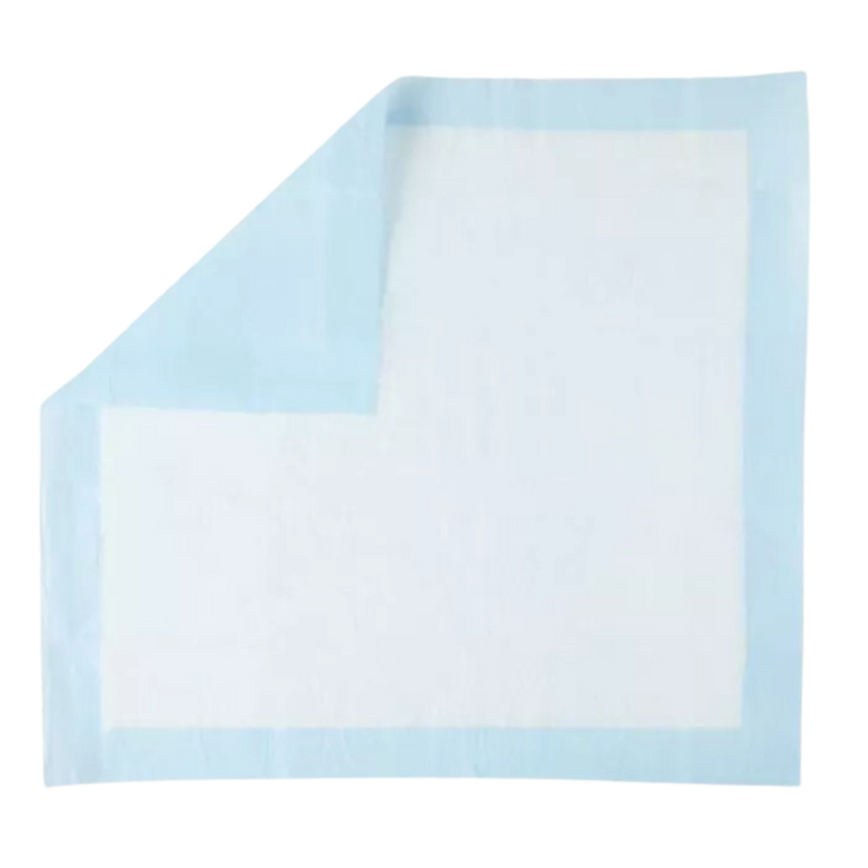 The Economy Underpad 58 x 61 cm (Box of 200)