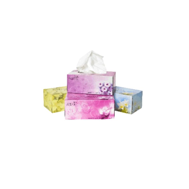 The Facial Tissues Box of 36x160's