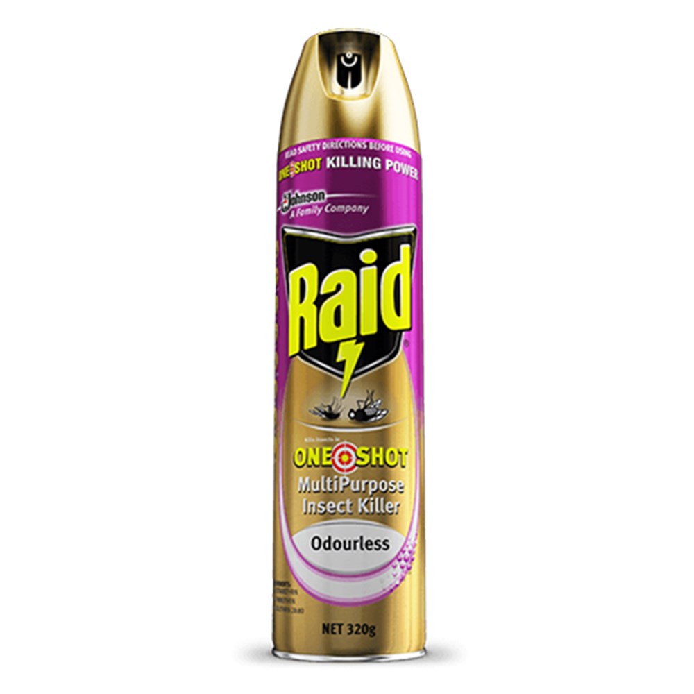 Raid Double Nozzle Multipurpose Insect Killer Odourless 320G